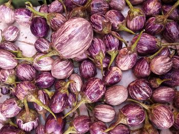 Full frame shot of purple for sale in market