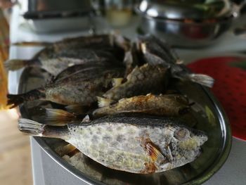 Close-up of fish in plate