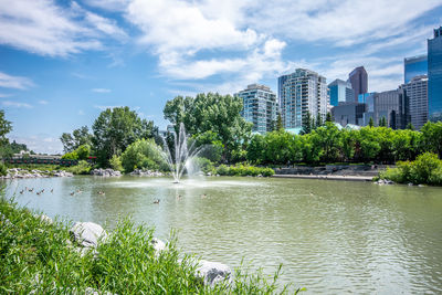 Scenic view of water fountain on river with geese by trees against city buildings and blue sky