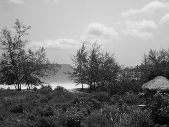 Scenic view of landscape against cloudy sky