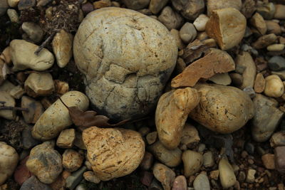 Full frame shot of pebbles