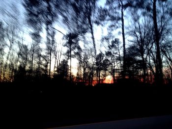 Silhouette trees against sky during sunset