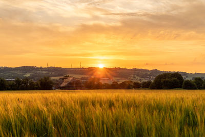 Scenic view of field against sky during sunrise 