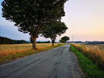 Road amidst trees on field against sky