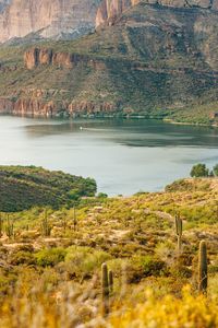 Scenic view of lake by farm against sky