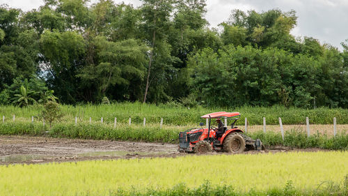 Man working on agricultural field against sky