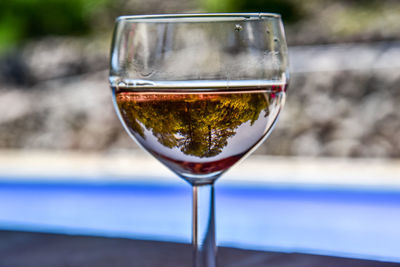 Close-up of plant against blurred background