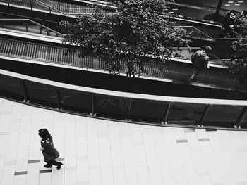 Man and woman walking on tree in city