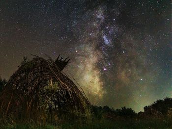 Low angle view of trees against star field at night