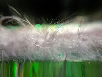 Close-up of illuminated fountain