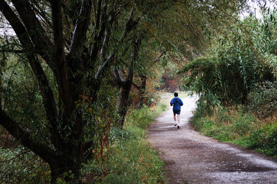 Rear view of man jogging on road amidst trees