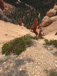 People on rock by land