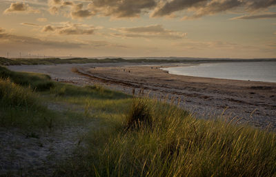 Scenic view of beach against sky during sunset