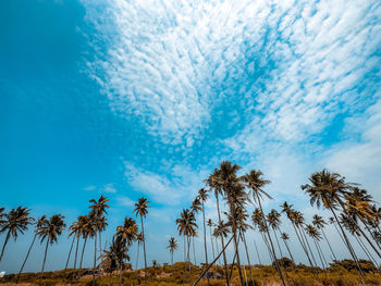 sky