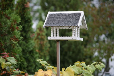 Close-up of birdhouse on roof against trees