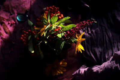 Close-up of red flowers growing on plant