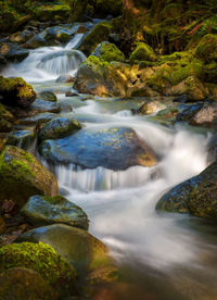 Scenic view of waterfall