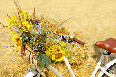 Wicker basket with a bouquet of wildflowers on the handlebars of women's bicycle on a blurred sunny