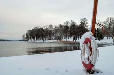 View of trees against cloudy sky