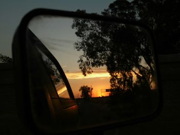 View of trees at sunset