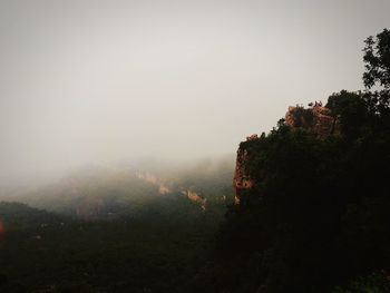 Trees on mountain against sky