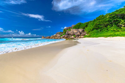 Scenic view of beach against sky