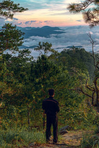 Rear view of man standing by lake