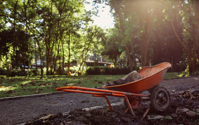 Abandoned cart in back yard