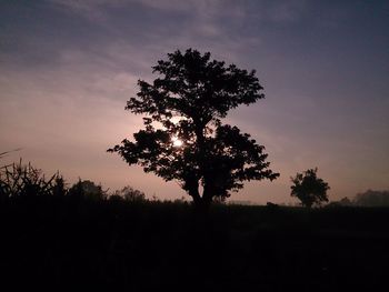 Silhouette tree in forest against sky at sunset