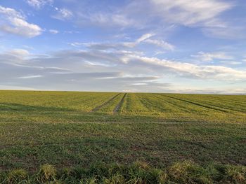 Scenic view of agricultural field against sky