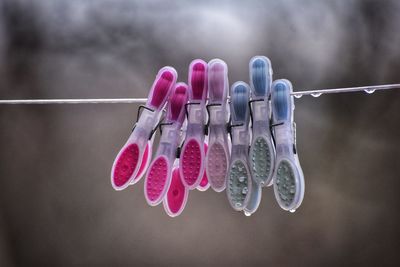 Close-up of multi colored clothespins hanging on clothesline