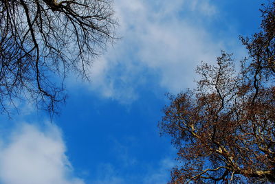 Low angle view of bare tree against cloudy sky