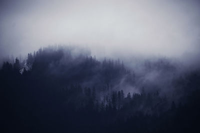 Silhouette trees in forest against sky during foggy weather