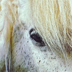 Close-up of water in water