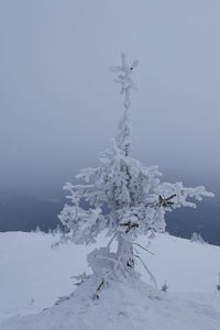 Scenic view of snow covered field against sky