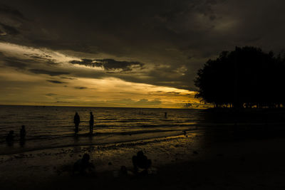 Silhouette trees on beach against sky at sunset