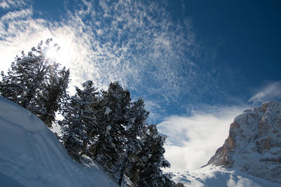 Low angle view of snow covered trees and mountains against sky