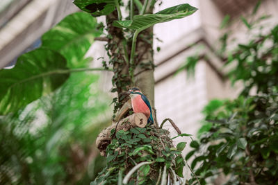 Bird perching on a branch