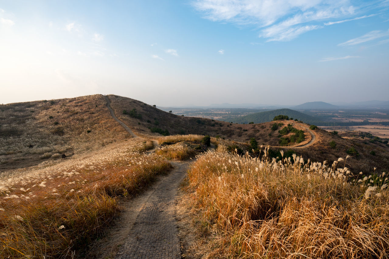 SCENIC VIEW OF ROAD BY LANDSCAPE AGAINST SKY