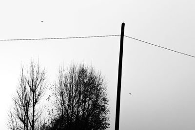 Low angle view of silhouette tree against sky