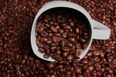 Close-up of coffee beans