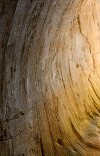 Full frame shot of textured surface