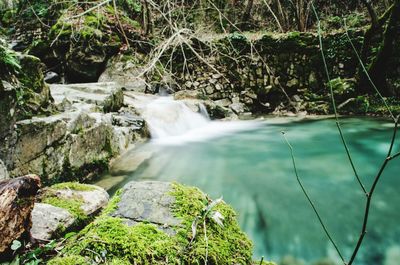 Scenic view of waterfall