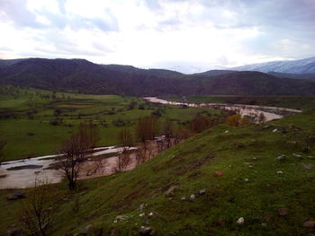 Scenic view of agricultural field against sky