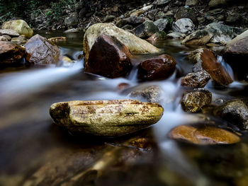 Close-up of stones on wet rock