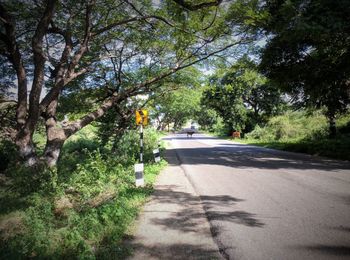 Empty road along trees