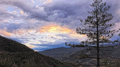 Scenic view of landscape against sky during sunset