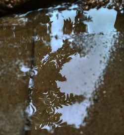 Close-up of reflection in puddle