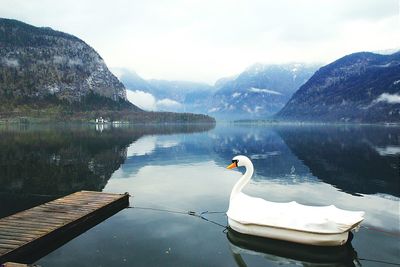 Swan shape boat moored in lake by mountains against sky