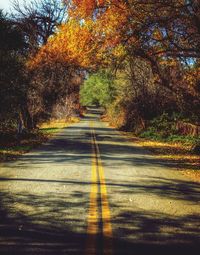 Road passing through trees